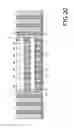 Fig. 20 - Substrate for electronic device and electronic device