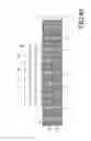 Fig. 29 - Substrate for electronic device and electronic device
