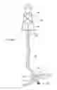 Fig. 40 - Apparatus and methods for drilling a wellbore using casing