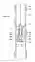 Fig. 43 - Apparatus and methods for drilling a wellbore using casing