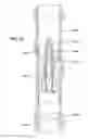 Fig. 45 - Apparatus and methods for drilling a wellbore using casing
