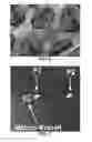 Fig. 04 - ROBOTIC DEVICES AND METHODS