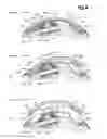 Fig. 10 - Inverted pendulum type vehicle