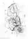Fig. 02 - Two-wheeled vehicle