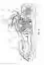Fig. 05 - Two-wheeled vehicle