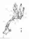 Fig. 18 - Two-wheeled vehicle