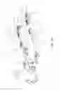 Fig. 22 - Two-wheeled vehicle