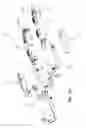 Fig. 23 - Two-wheeled vehicle