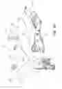 Fig. 28 - Two-wheeled vehicle