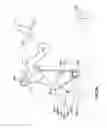 Fig. 07 - Piston trip reset lever