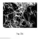 Fig. 22 - Electrochemical sensors