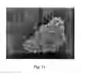 Fig. 29 - Electrochemical sensors