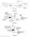 Fig. 02 - Hydroprocessing catalysts and methods for making thereof