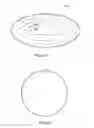 Fig. 05 - Intraocular, accommodating lens and methods of use