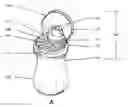 Fig. 01 - Sippy cup with snack receptacle in lid