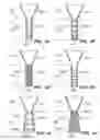 Fig. 09 - Cancellation feature for pharmaceutical waste disposal assembly