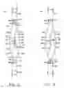 Fig. 03 - Double-wide strap