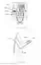 Fig. 13 - VACUUM MOUNTED CARRIER FOR A VEHICLE