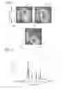 Fig. 07 - Method For Security Purposes
