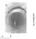 Fig. 07 - REACTOR FEED NOZZLES