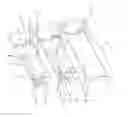 Fig. 01 - Object support retainer