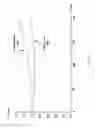 Fig. 13 - High gradient lens for charged particle beam
