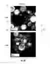 Fig. 04 - Composite nanoparticles and methods for making the same