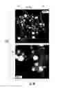 Fig. 05 - Composite nanoparticles and methods for making the same