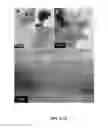 Fig. 03 - Cobalt carbide-based nanoparticle permanent magnet materials