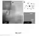 Fig. 05 - Cobalt carbide-based nanoparticle permanent magnet materials
