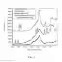 Fig. 03 - Volume-labeled nanoparticles and methods of preparation