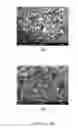 Fig. 04 - Volume-labeled nanoparticles and methods of preparation