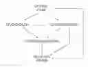 Fig. 01 - Compositions comprising 2,3,3,3-tetrafluoropropene, 2-chloro-2,3,3,3-tetrafluoropropanol, 2-chloro-2,3,3,3-tetrafluoro-propyl acetate or zinc (2-chloro-2,3,3,3-tetrafluoropropdxy) chloride