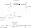 Fig. 30 - Liquid crystal compound, liquid crystal composition and liquid crystal display device