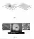 Fig. 02 - PROCESS FOR SINTERING NANOPARTICLES AT LOW TEMPERATURES