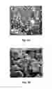 Fig. 04 - PROCESS FOR SINTERING NANOPARTICLES AT LOW TEMPERATURES