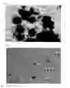 Fig. 04 - Method for preparing water-soluble nanoparticles and their dispersions