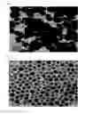 Fig. 07 - Method for preparing water-soluble nanoparticles and their dispersions