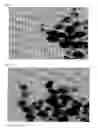 Fig. 08 - Method for preparing water-soluble nanoparticles and their dispersions