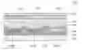 Fig. 01 - Organic electroluminescent display device