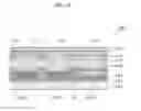 Fig. 08 - Organic electroluminescent display device