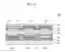 Fig. 10 - Organic electroluminescent display device