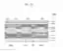 Fig. 12 - Organic electroluminescent display device