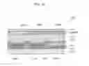 Fig. 16 - Organic electroluminescent display device