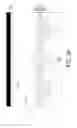 Fig. 05 - LIGHT EMITTING DIODE PACKAGE AND METHOD FOR MANUFACTURING SAME