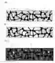 Fig. 02 - Composite Sheet and Production Method Thereof