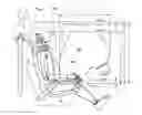 Fig. 01 - Neck injury mitigation systems and methods