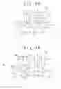 Fig. 05 - Direct-drive wind turbine generator