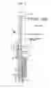 Fig. 02 - Spark plug