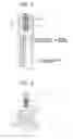 Fig. 03 - Spark plug